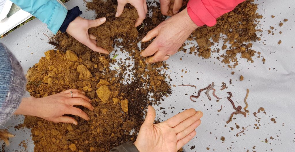 Sifting through soil for evidence of life