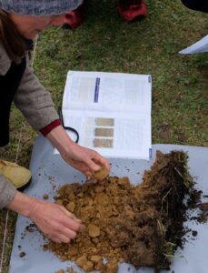 Our measurements follow established soil science methods